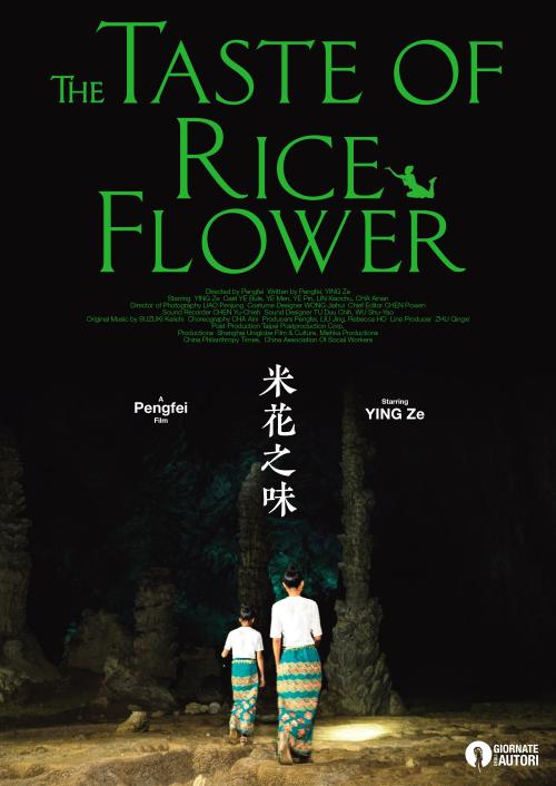 枣庄职业学院毕业证补办